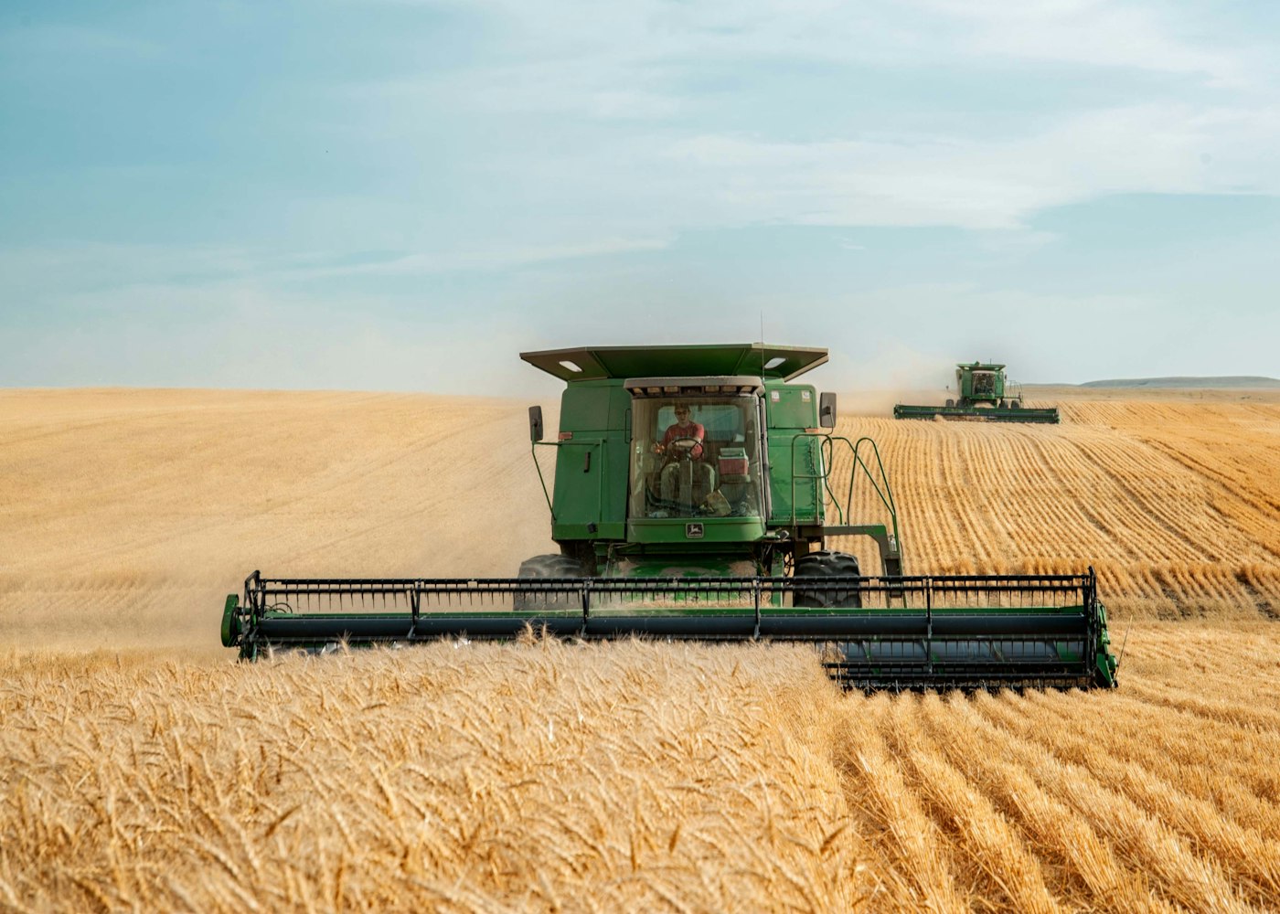 Combine harvester in a wheat field